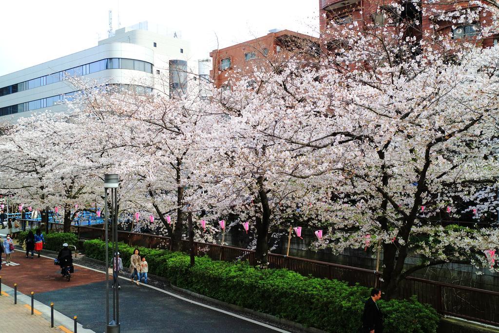 Ferienwohnung Coto Tokyo Shibuya Exterior foto